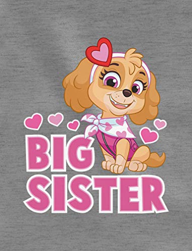 Tstars Paw Patrol Big Sister Shirt Sibling Gifts Skye Toddler Kids Girls Fitted T-Shirt2