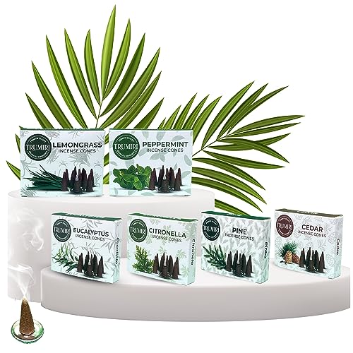 Trumiri TRU-ICVP-LEAFY Incense Cones - Variety Pack - Total 60 Cone Incense (6 Scents X 10 Conos) - Citronella Lemongrass Eucalyptus Peppermint Cedar Pine thumb #5