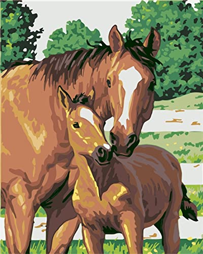 Peinture à strass cristal cheval, broderie au diamant 5D et loisir créatif adulte