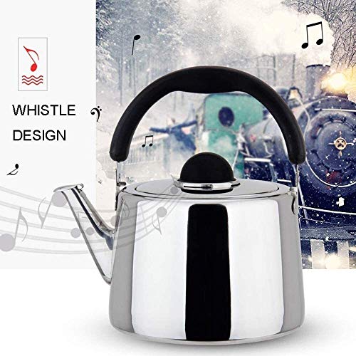 Teapot en acier inoxydable SHISHI 3L pour induction et gaz - 4