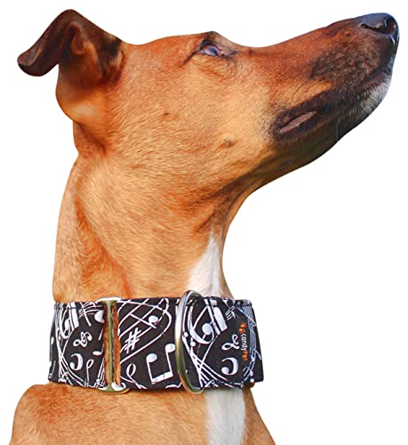 candyPet® Martingale Dog Collar - Music, S