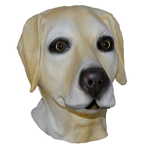 Hengyutoy Mask Máscara de Perro Golden o Labrador, para la Cabeza Entera, Accesorio para Disfraz, Hecha de látex