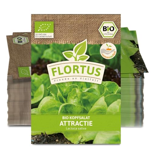 FLORTUS 2000-0505-100x Kopfsalat Attractie (100 Stück) (BIO Salatsamen)