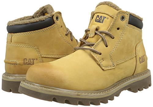 caterpillar doubleday