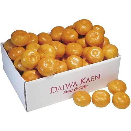 2025NΕW _Cʉ a̎RY Lc݂ AM-50RW