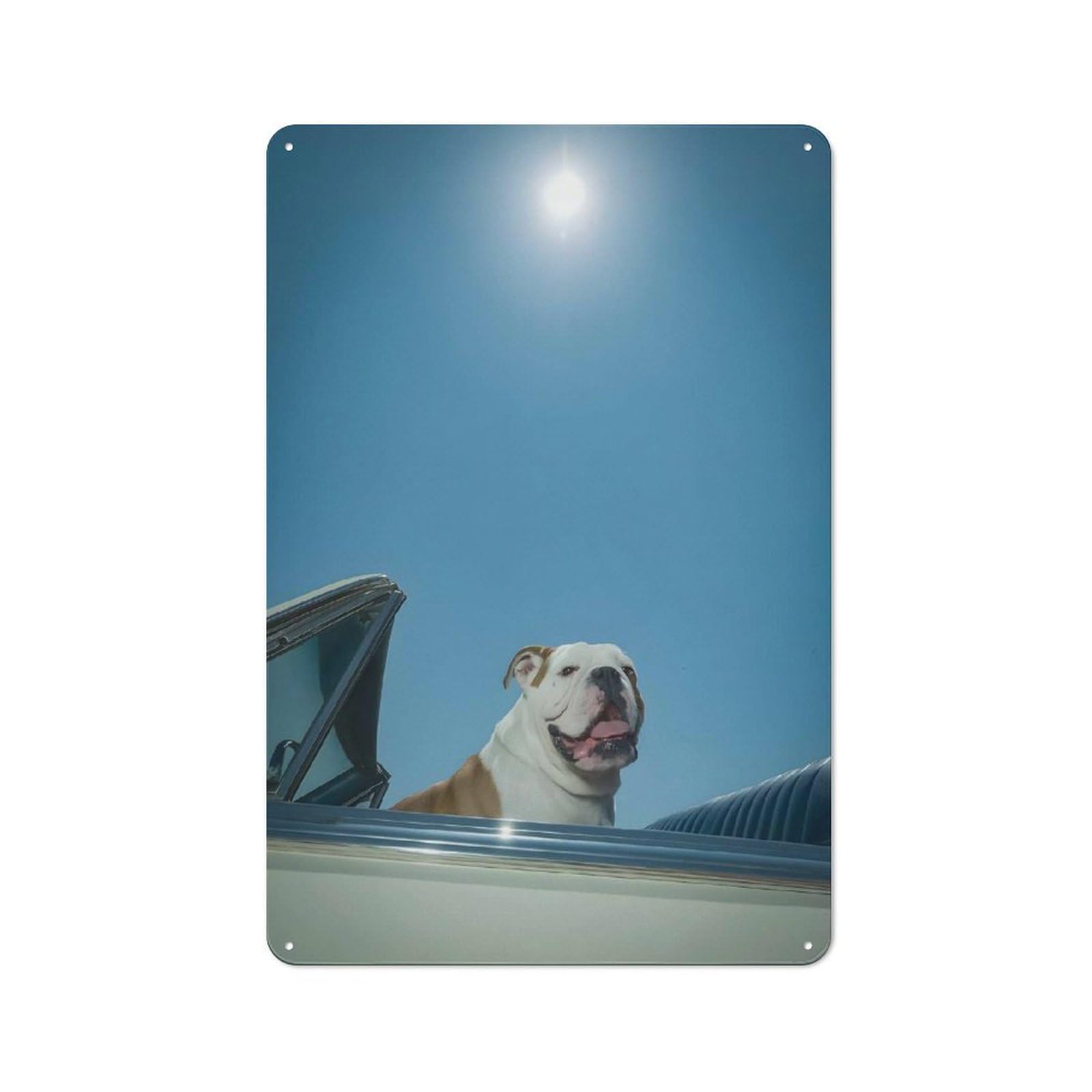 Vintage Metal Sign 30x20cm Featuring Bulldog in Convertible Under Sunny Sky, Home Bar Decor for Cafe, Pub, Workshop Or Home Bar