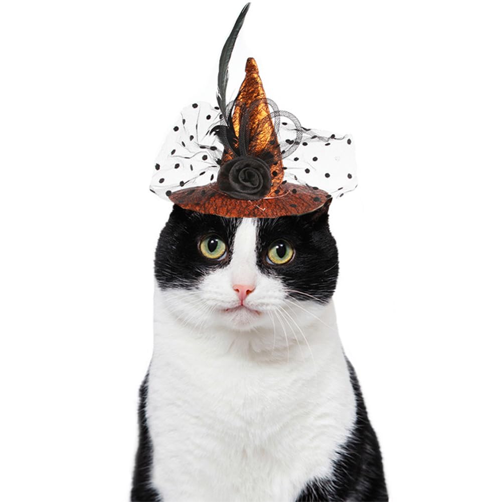 Halloween Hundekleid Hexe Mit Spinnennetz-Rock – Für Kleine Hunde & Katzen