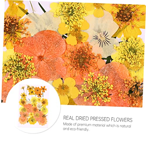 Flores secas elegantes para decoración y manualidades miniatura 4