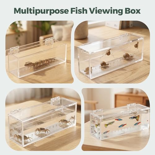 Image of Fish Viewing Box,Acrylic Fish Breeding Box,Fishing Photo Tank,Hatching Boxes, Clear Micro Landscape Fish Tank with Scale