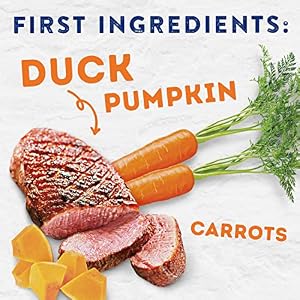 Natural Balance Platefulls Homestyle Adult Wet Dog Food, Savory Duck & Pumpkin Recipe Cooked in Bone Broth, 9 Ounce (Pack of 12) Natural Balance Platefulls Homestyle Adult Wet Dog Food, Savory Duck & Pumpkin Recipe Cooked in Bone Broth, 9 Ounce (Pack of 12)