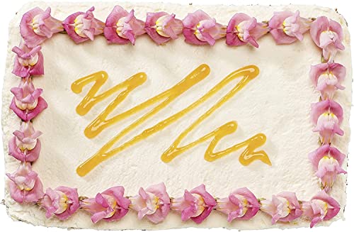 Meshka Springform Pan Rectangle Cake Pan Leakproof Cake Pan Bakeware Rectangle Non-Stick Baking Pan Mold Leakproof Removable Bottom (Black) #TOP5