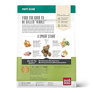 The-Honest-Kitchen-Whole-Food-Clusters-Puppy-Grain-Free-Chicken-Dry-Dog-Food-1-lb-bag - Cucciolini Doodles   The-Honest-Kitchen-Whole-Food-Clusters-Puppy-Grain-Free-Chicken-Dry-Dog-Food-1-lb-bag