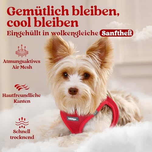 rabbitgoo Hundegeschirr Kleine Hunde, Step-in Welpengeschirr Weich Mesh für Spaziergänge, Atmungsaktives und Reflektierendes Brustgeschirr für Kleine und Mittelgroße Hunde, Rot, S