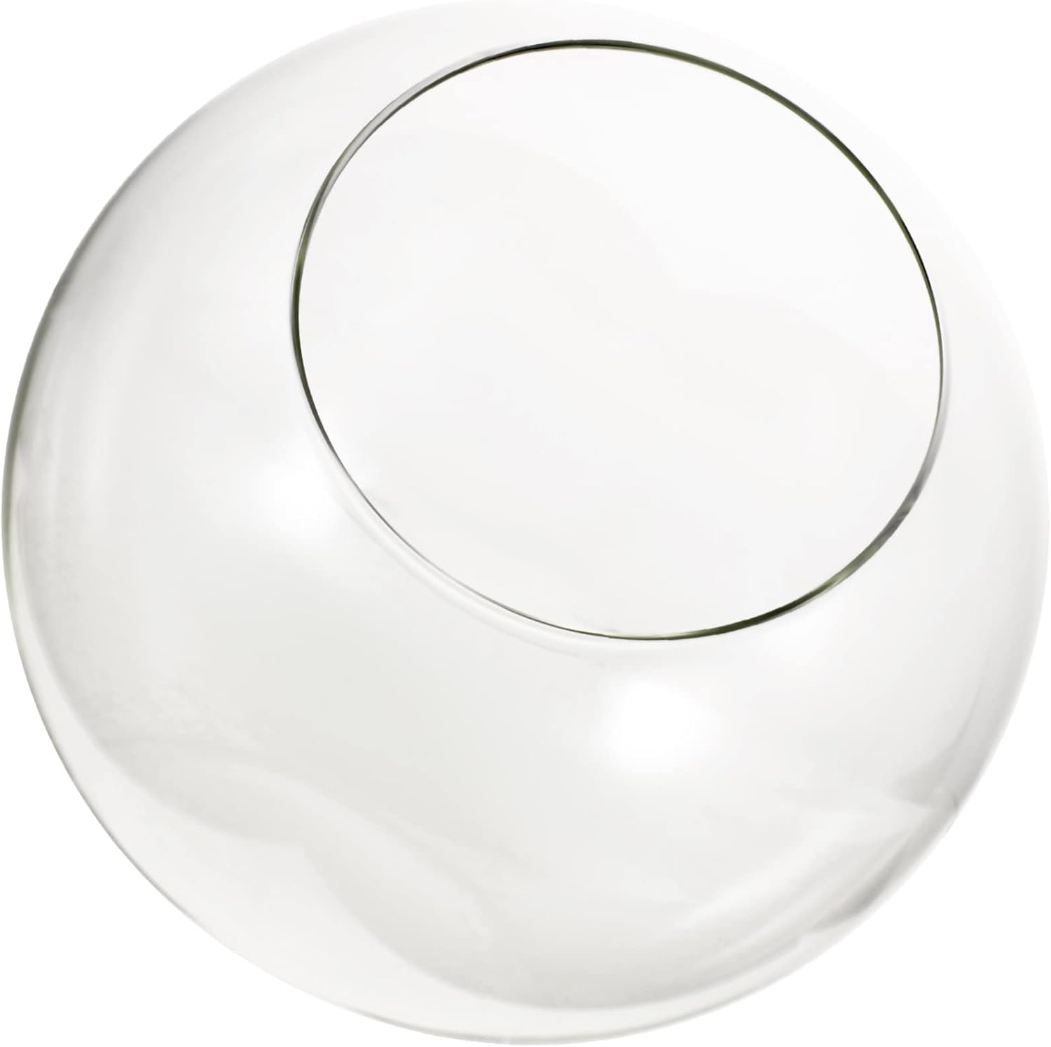 BESPORTBLE Glass Moss Plant Bottle Eco-Friendly Decor Multi-Purpose Storage Jar Boho Style