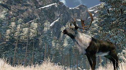 Image of Cabelas Outdoor Adventure 2010 - Xbox 360 (Renewed)