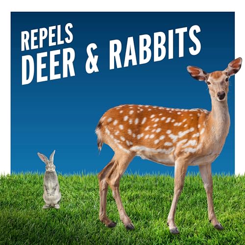 Image of Liquid Fence Deer And Rabbit Repellent Concentrate 2.5 Gallons, 2 Pack | Use to Treat on Gardens, Flowers, Shrubs, Trees & Vines, Covers up to 50,000 Sq. Ft., Harmless to Plants & Animals
