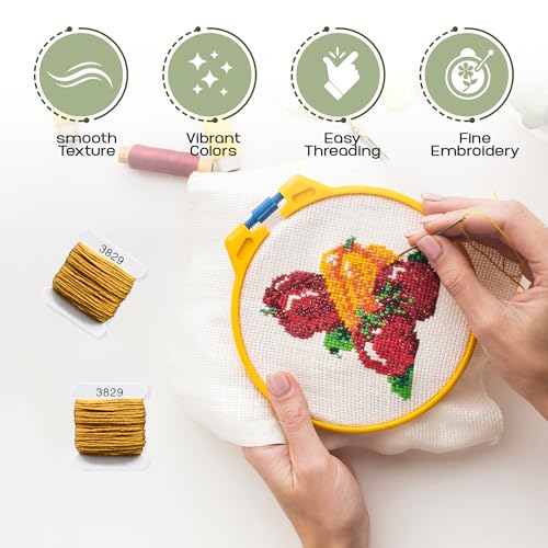 Image of Embroidery Floss Kit and Refills - Cotton Threads - DMC Color Coding for Cross Stitch, String Crafts, Friendship Bracelets