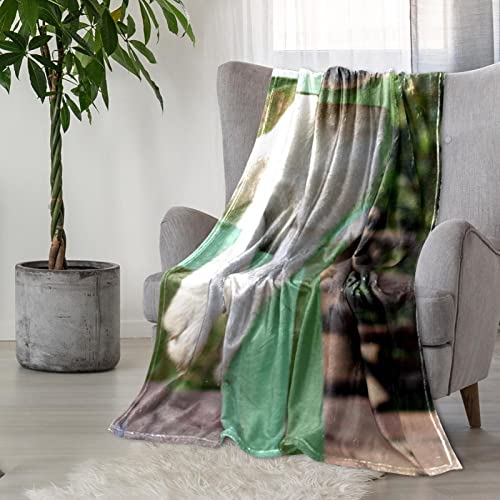 Couvertures en microfibre blanche imprimée animal chiot pour l'hiver - 6