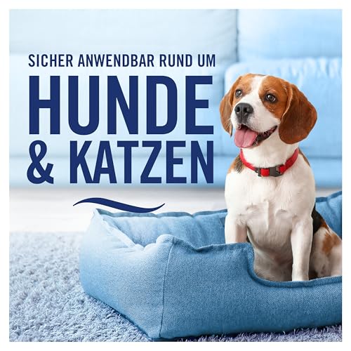 Febreze Textilerfrischerspray, 375 ml Thai Orchidee, FrischeLuft-Technologie Entfernt Tiefsitzende Gerüche Und Verleiht Frischen Duft