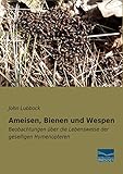  Ameisen, Bienen und Wespen: Beobachtungen über die Lebensweise der geselligen Hymenopteren