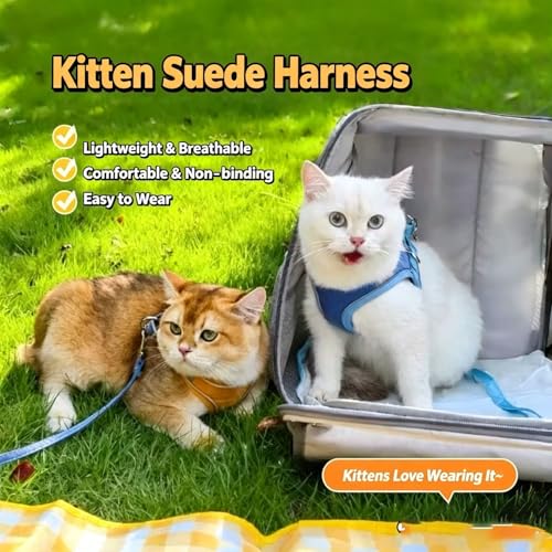 Escape Proof Cat Harness and Leash, Cat Collars, Harnesses & Leashes, Escape-Proof Cat Harness Set, Adjustable Step-in Pet Harness for Walking for Small Medium Cats/Dogs (Blue, L) - Image 3