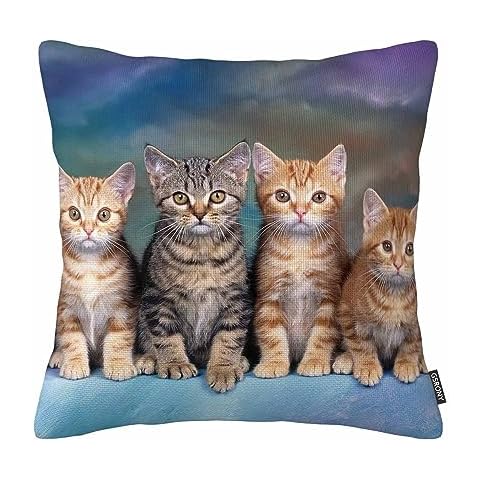 GSRONY Kitten Series Cat Pillowcase Cover Cover