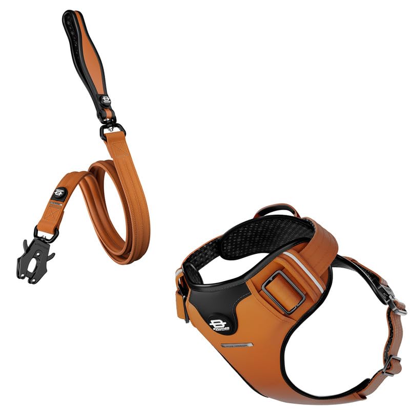 Bullyion ® Original Equipment Hygge Harness & All Action DUAL SWIVEL LEAD – Softcell Padding, Adjustable Fit – Durable Lead – Anti Tangle - Lockforce Metal Buckle & Clasp (ORANGE MARMALADE - Size A)