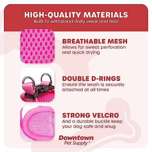 Downtown Pet Supply Step In Dog Harness For Small Dogs No Pull, Small, Pink - Adjustable Harness With Padded Mesh Fabric And Reflective Trim - Buckle Strap Harness For Dogs #TOP3