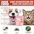 Zest & Pep Dental+ Oral Hygiene Powder For Dogs and Cats — Daily Plaque Remover for Teeth to Reduce Tartar and Freshen Bad Breath — Natural Teeth Cleaning Formula for Pets — ?100g Pouch
