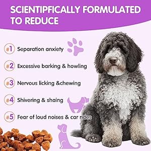 Hemp Calming Chews for Dogs, 150 Soft Dog Calming Treats, Dog Calming Treats with Hemp Oil, Dog Anxiety Relief, Storms, Separation, Barking, Stress Relief for All Breeds & Sizes – Chicken Flavored