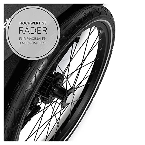 hauck Dryk Duo, Melange Grey - 2in1 Fahrradanhänger & Kinderwagen für 2 Kinder ab 6 Monaten bis 22 kg/120 cm/4 Jahre, für Zwillinge & Geschwister, Faltbar, XL Stauraum, für Fahrrad, E-Bike & Pedelec