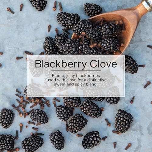 Image of Little Trees Hanging Type Fragrance air fresheners BlackBerry Clove 6 Pieces U6P-67343