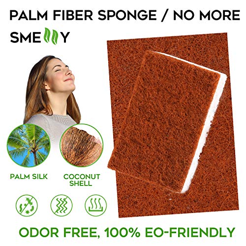 Natural Plant Based Scrub Sponge 12 Pack, Palm Fiber Scrubbing Sponge With Non Scratch Biodegradable Compostable Sponges,Durable No Smell Dishwashing Kitchen Scrubber #TOP1