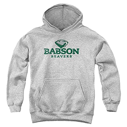 Babson College Official Distressed Primary Youth Kids Boy/Girls Pull-Over Hoodie Sweatshirt