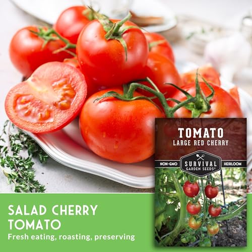 Large Red Cherry Tomato Seeds for Planting – Survival Garden Seeds (1 Pack) - Image 5