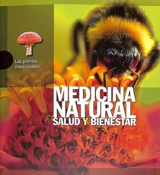 Las plantas medicinales