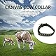 Qcwwy Kuhhalsband, Verstellbares 4-lagiges Canvas Kalbskragen Krawatte Rinderhalsband Halsband mit 2 Reihen Metallschnalle für Pferdeschaf Rinder(#1)