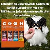 Wellness CORE Reward+ Verdauung 170g, Krill – sanfte Hundeleckerli für alle Hunderassen, getreidefrei, natürlich, hypoallergen, proteinreich, hoher Fischanteil, unterstützt eine gesunde Verdauung