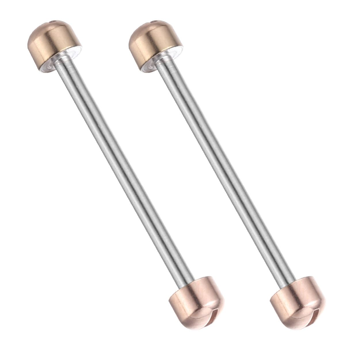 DOITOOL Piezas Varillas 2 Conexión de 20mm Metal, para Correa de Reloj