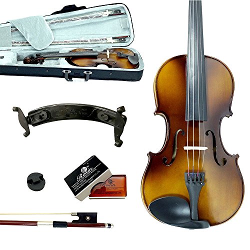Best Brand Of Violins For Beginners 10Reviewz