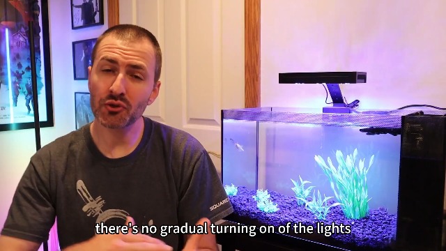 Amazon.com : Hipargero Aquarium Light –5rd AquaKnight A029