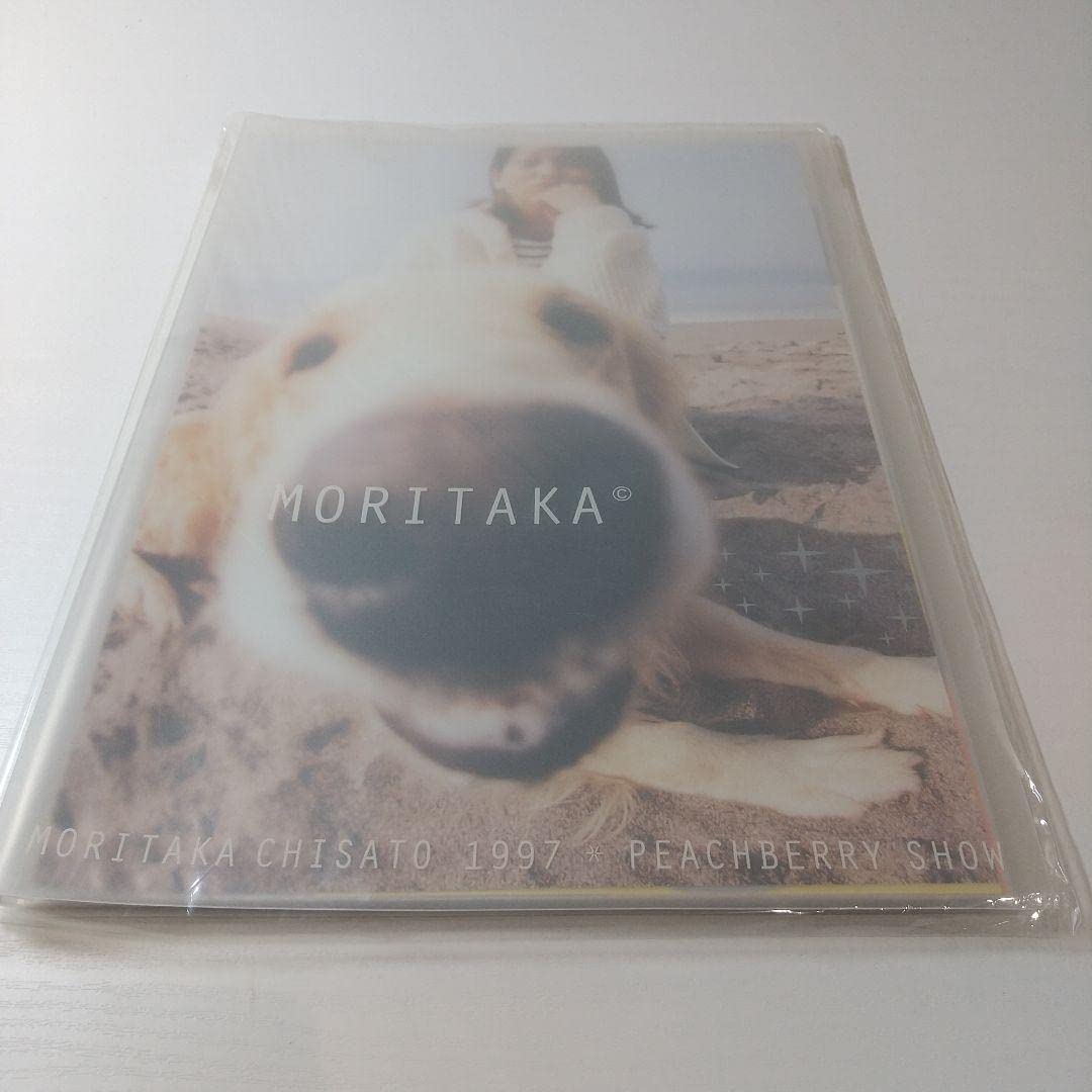 Amazon.co.jp: セット森高千里 コンサートツアーパンフレット&うちわ