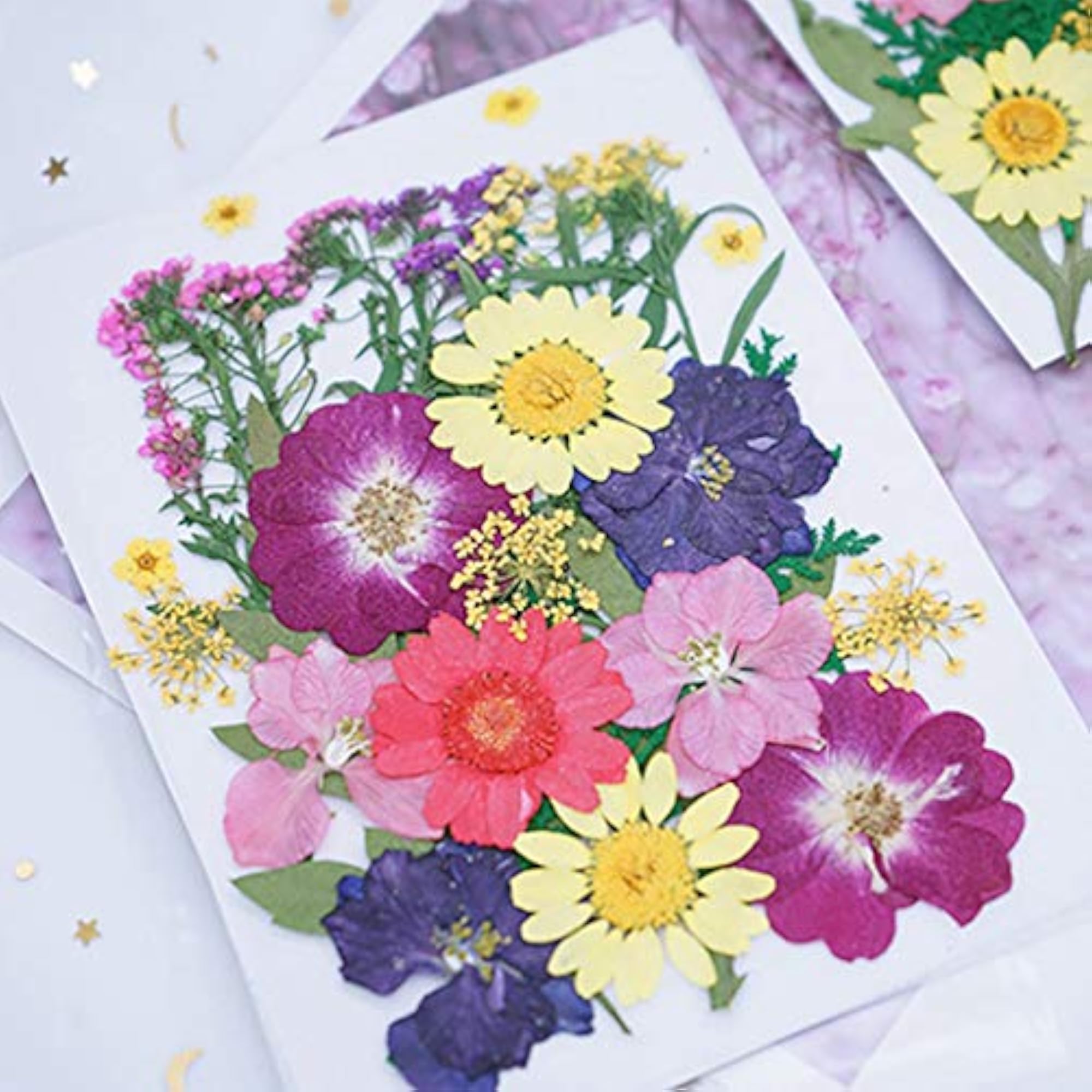 30PCS DIY Pressed Flowers Assorted for Crafts
