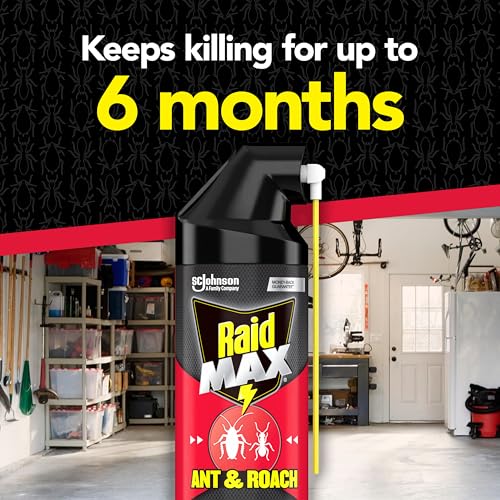 Image of Raid MAX Ant & Roach Killer Spray, Kills on Contact, Keeps Killing for up to 6 Months, 14.5 oz