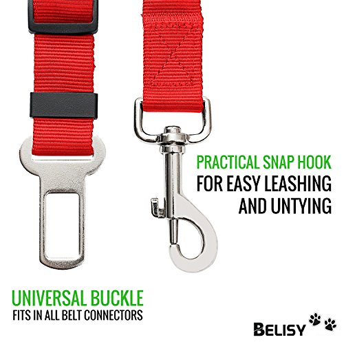 BELISY Hunde Sicherheitsgurt fürs Auto I passend für alle Hunderassen I Rot