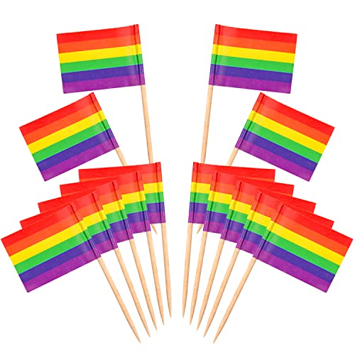 Fvomye 100 palillos de dientes con bandera gay de Rainbow Pride Rainbow Cupcake Toppers LGBT Gay Pride Cóctel Comida Bar Banderas de Pastel (100) Cover