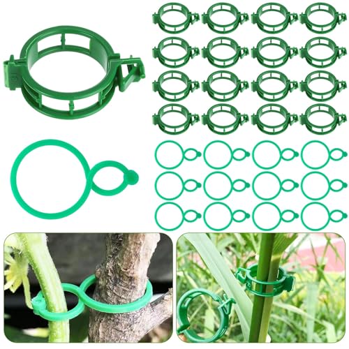HGRGHH 300 Stück Pflanzenclips, Pflanzenclips für Kletterpflanzen, Plastik Tomaten Clips, Pflanzenklammern Tomatenhaken Gurken Rankhilfe für Pflanzen Sicherung (Grün) HGRGHH 300 Stück Pflanzenclips, Pflanzenclips für Kletterpflanzen, Plastik Tomaten Clips, Pflanzenklammern Tomatenhaken Gurken Rankhilfe für Pflanzen Sicherung (Grün)