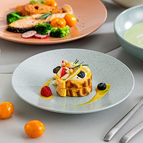 Vancasso Sabine Dinnerware Sets, 16 Pieces Stoneware Round Plates And Bowls Set, Semi-Matte Dishes Set Service For 4, Dishwasher And Microwave Safe, Multicolor #TOP5