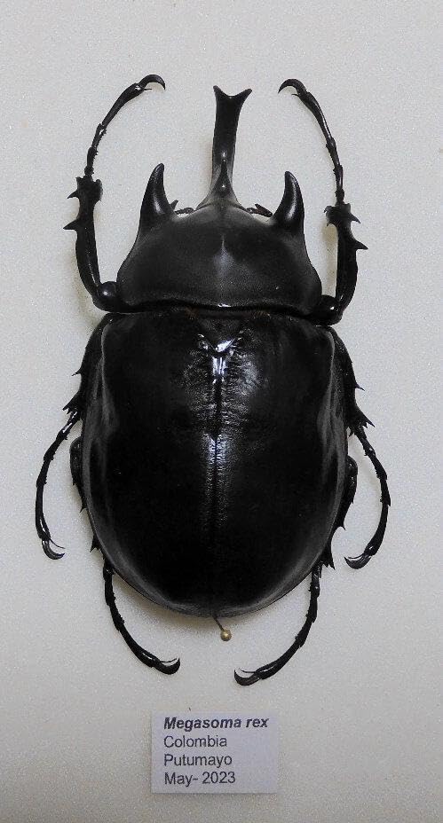 壷□船壷 耳付き古壺 茶壷 花瓶 古玩 唐物 中国 古美術 時代物 骨董品