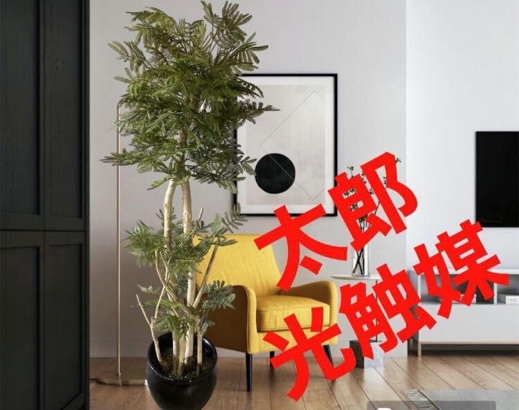 光触媒　人工観葉植物　ウォールグリーン　フェイクグリーン　エバーフレッシュ鉢 Amazon.co.jp: 光触媒 人工観葉植物 ウォールグリーン フェイク